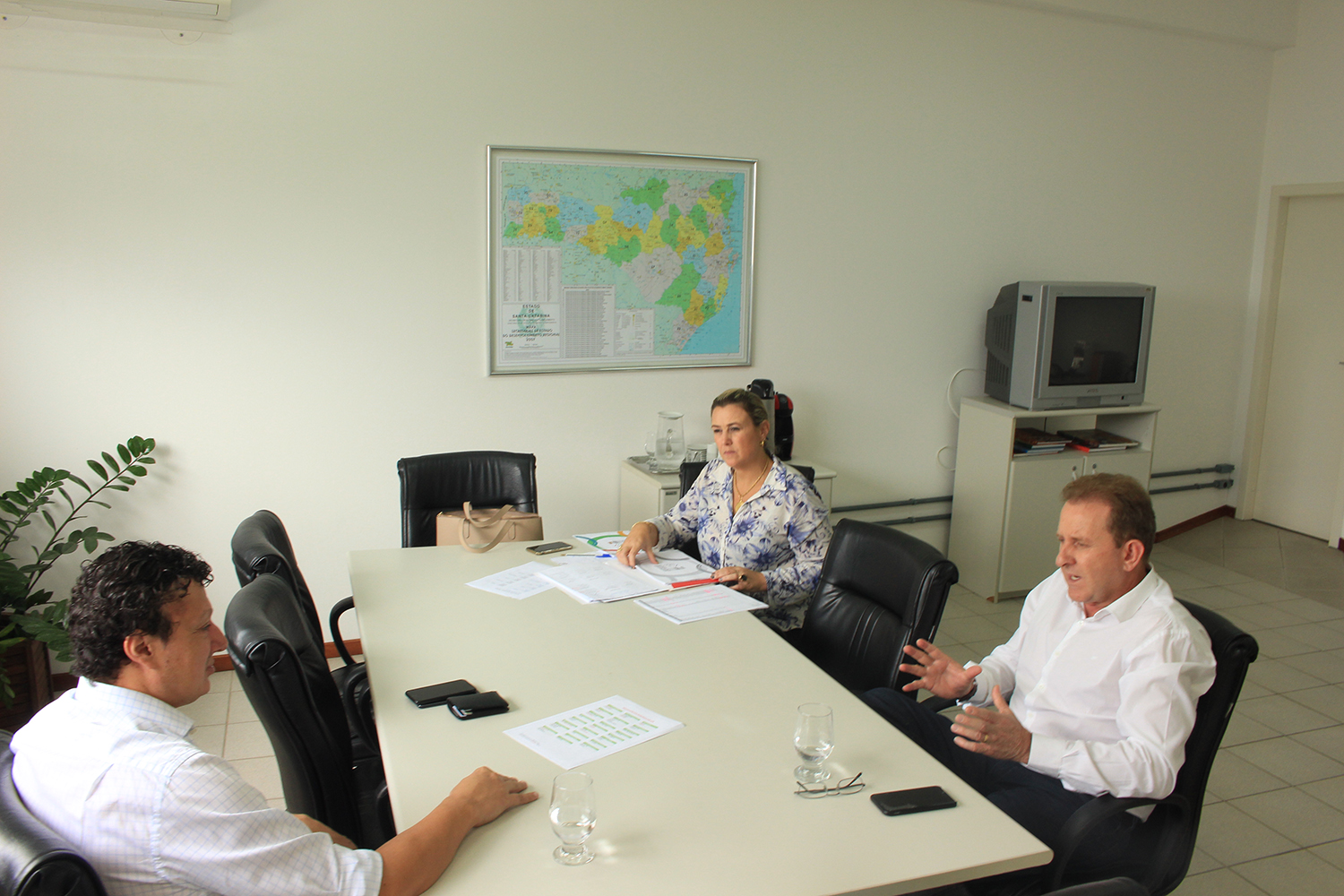 adr blumenau